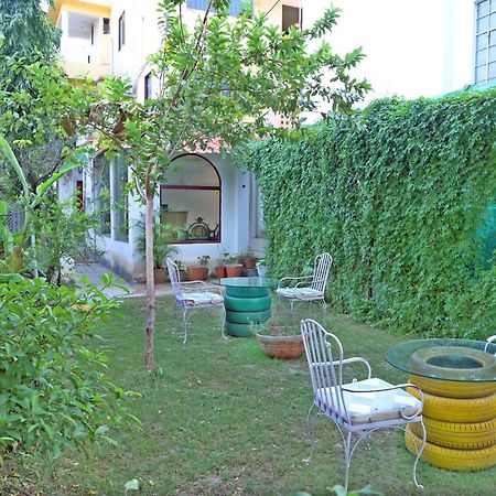 אודייפור Hotel Tree Of Heaven מראה חיצוני תמונה